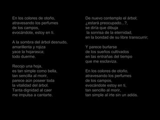 En los colores de otoño,
atravesando los perfumes
de los campos,
evocándote, estoy en ti.
A la sombra del árbol desnudo,
amarillenta y rojiza
yace la hojarasca;
todo duerme.
Recojo una hoja,
es tan simple como bella,
tan sencilla al morir,
parece aún poseer toda
la vitalidad del árbol.
Tanta dignidad al caer
me impulsa a cantarte.
De nuevo contemplo el árbol;
¿estará preocupado...?,
se diría que dibuja
la sonrisa de la eternidad,
en la bondad de su libre transcurrir;
Y parece burlarse
de los sueños cultivados
en las entrañas del tiempo
que me esclaviza.
En los colores de otoño,
atravesando los perfumes
de los campos,
evocándote estoy en ti,
tan sencillo al morir,
tan simple al irte sin un adiós.
 