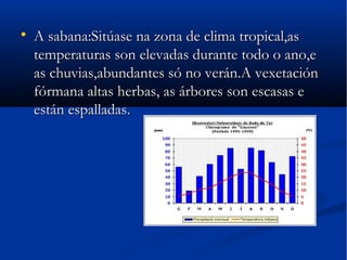 
    A sabana:Sitúase na zona de clima tropical,as
    temperaturas son elevadas durante todo o ano,e
    as chuvias,abundantes só no verán.A vexetación
    fórmana altas herbas, as árbores son escasas e
    están espalladas.
 