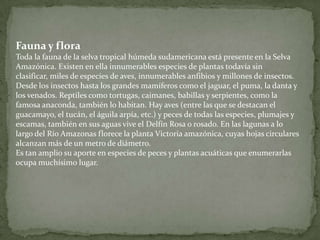 Reserva Nacional Tambopata Candamo