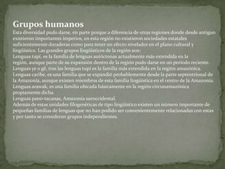 Fauna y floraToda la fauna de la selva tropical húmeda sudamericana está presente en la Selva Amazónica. Existen en ella innumerables especies de plantas todavía sin clasificar, miles de especies de aves, innumerables anfibios y millones de insectos.Desde los insectos hasta los grandes mamíferos como el jaguar, el puma, la danta y los venados. Reptiles como tortugas, caimanes, babillas y serpientes, como la famosa anaconda, también lo habitan. Hay aves (entre las que se destacan el guacamayo, el tucán, el águila arpía, etc.) y peces de todas las especies, plumajes y escamas, también en sus aguas vive el Delfín Rosa o rosado. En las lagunas a lo largo del Río Amazonas florece la planta Victoria amazónica, cuyas hojas circulares alcanzan más de un metro de diámetro.Es tan amplio su aporte en especies de peces y plantas acuáticas que enumerarlas ocupa muchísimo lugar.