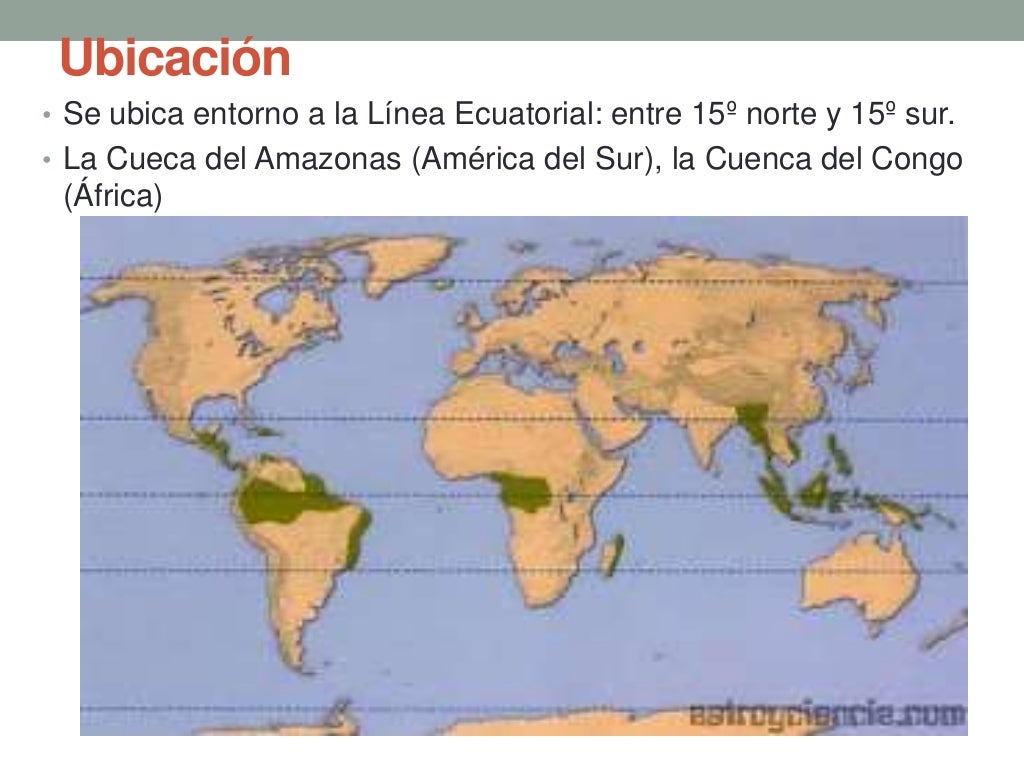 La selva tropical