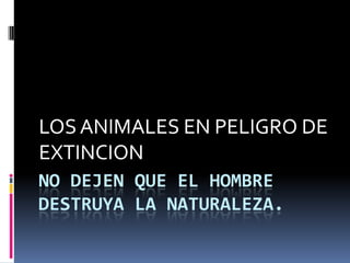 No dejen que el hombre destruya la naturaleza. LOS ANIMALES EN PELIGRO DE        EXTINCION 