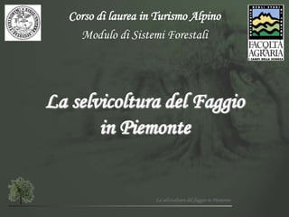 La selvicoltura del faggio in Piemonte
La selvicoltura del Faggio
in Piemonte
Corso di laurea in Turismo Alpino
Modulo di Sistemi Forestali
 