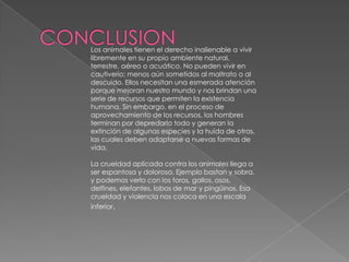 Los animales tienen el derecho inalienable a vivir
libremente en su propio ambiente natural,
terrestre, aéreo o acuático. No pueden vivir en
cautiverio; menos aún sometidos al maltrato o al
descuido. Ellos necesitan una esmerada atención
porque mejoran nuestro mundo y nos brindan una
serie de recursos que permiten la existencia
humana. Sin embargo, en el proceso de
aprovechamiento de los recursos, los hombres
terminan por depredarlo todo y generan la
extinción de algunas especies y la huída de otras,
las cuales deben adaptarse a nuevas formas de
vida.

La crueldad aplicada contra los animales llega a
ser espantosa y dolorosa. Ejemplo bastan y sobra,
y podemos verlo con los toros, gallos, osos,
delfines, elefantes, lobos de mar y pingüinos. Esa
crueldad y violencia nos coloca en una escala
inferior.
 