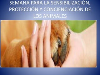 SEMANA PARA LA SENSIBILIZACIÓN,
PROTECCIÓN Y CONCIENCIACIÓN DE
LOS ANIMALES
 