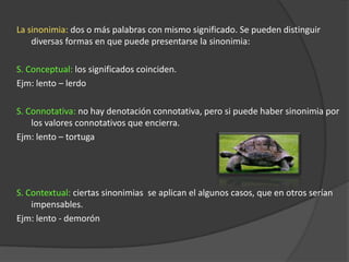  Nelson Macalupú Agüero 