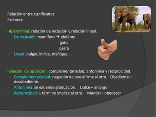  Gianfranco Rojas Gallardo