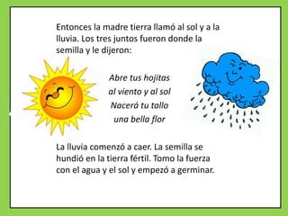 Entonces la madre tierra llamó al sol y a la
lluvia. Los tres juntos fueron donde la
semilla y le dijeron:
Abre tus hojitas
al viento y al sol
Nacerá tu tallo
una bella flor
La lluvia comenzó a caer. La semilla se
hundió en la tierra fértil. Tomo la fuerza
con el agua y el sol y empezó a germinar.