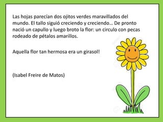 Las hojas parecían dos ojitos verdes maravillados del
mundo. El tallo siguió creciendo y creciendo… De pronto
nació un capullo y luego broto la flor: un circulo con pecas
rodeado de pétalos amarillos.
Aquella flor tan hermosa era un girasol!
(Isabel Freire de Matos)
 