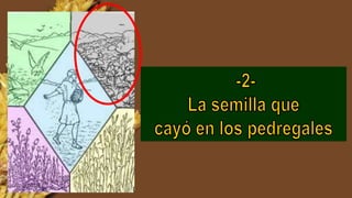 La semilla | PPTX