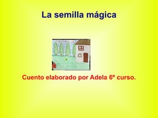 La semilla mágica
Cuento elaborado por Adela 6º curso.
 