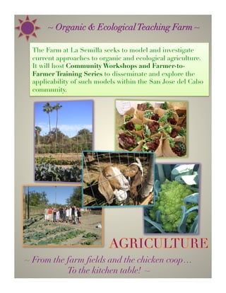 ~ Eco-Dwellings  Living Structures ~

 Educational Green Building  Design demonstration
sites in La Semilla’s Land Use Plan will be constructed
   placing special emphasis on creative, practical
   and simple-to-learn technologies designed to
      source low-cost or locally-available materials. 
 