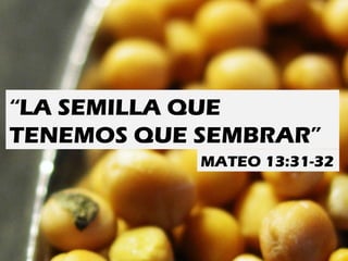 “ LA SEMILLA QUE TENEMOS QUE SEMBRAR” MATEO 13:31-32 