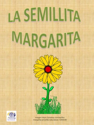 Imagen https://pixabay.com/es/flor-
margarita-amarilla-naturaleza-1295436/
 