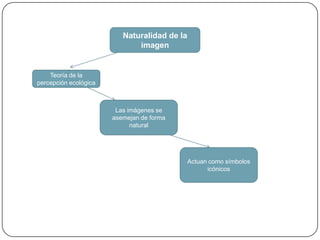 Naturalidad de la imagenTeoría de la percepción ecológicaLas imágenes se asemejan de forma naturalActuan como símbolos icónicos