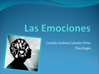 Camila Andrea Canasto Peña Psicología 