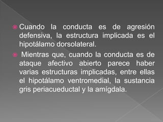  Cuando    la conducta es de agresión
 defensiva, la estructura implicada es el
 hipotálamo dorsolateral.
 Mientras que, cuando la conducta es de
 ataque afectivo abierto parece haber
 varias estructuras implicadas, entre ellas
 el hipotálamo ventromedial, la sustancia
 gris periacueductal y la amígdala.
 