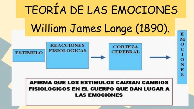 Las emociones