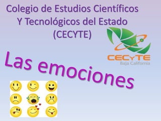 Colegio de Estudios Científicos
Y Tecnológicos del Estado
(CECYTE)
 
