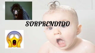 SORPRENDIDO