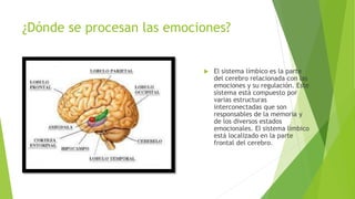 ¿Dónde se procesan las emociones?
 El sistema límbico es la parte
del cerebro relacionada con las
emociones y su regulación. Este
sistema está compuesto por
varias estructuras
interconectadas que son
responsables de la memoria y
de los diversos estados
emocionales. El sistema límbico
está localizado en la parte
frontal del cerebro.
 