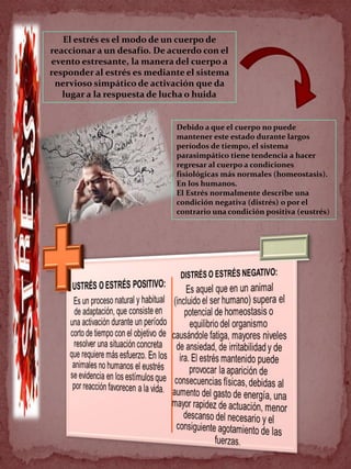 El estrés es el modo de un cuerpo de
reaccionar a un desafío. De acuerdo con el
evento estresante, la manera del cuerpo a
responder al estrés es mediante el sistema
nervioso simpático de activación que da
lugar a la respuesta de lucha o huida
Debido a que el cuerpo no puede
mantener este estado durante largos
períodos de tiempo, el sistema
parasimpático tiene tendencia a hacer
regresar al cuerpo a condiciones
fisiológicas más normales (homeostasis).
En los humanos.
El Estrés normalmente describe una
condición negativa (distrés) o por el
contrario una condición positiva (eustrés)
 