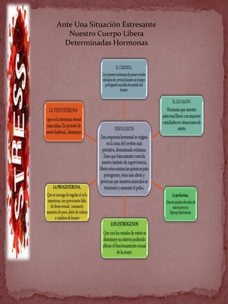 Ante Una Situación Estresante
Nuestro Cuerpo Libera
Determinadas Hormonas
 