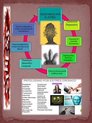 Trastornó
Depresivo
Trastorno
dimorfico
corporal
 