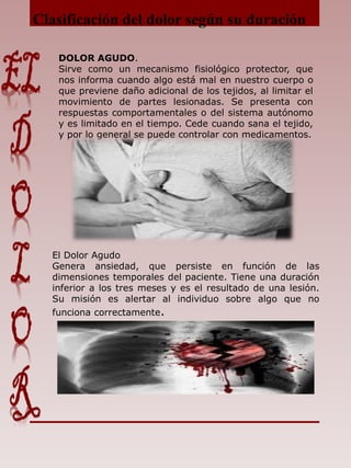 Clasificación del dolor según su duración
DOLOR AGUDO.
Sirve como un mecanismo fisiológico protector, que
nos informa cuando algo está mal en nuestro cuerpo o
que previene daño adicional de los tejidos, al limitar el
movimiento de partes lesionadas. Se presenta con
respuestas comportamentales o del sistema autónomo
y es limitado en el tiempo. Cede cuando sana el tejido,
y por lo general se puede controlar con medicamentos.
El Dolor Agudo
Genera ansiedad, que persiste en función de las
dimensiones temporales del paciente. Tiene una duración
inferior a los tres meses y es el resultado de una lesión.
Su misión es alertar al individuo sobre algo que no
funciona correctamente.
 
