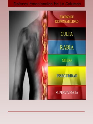 Dolores Emocionales En La Columna
 