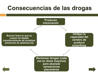 Consecuencias de las drogas
                                       Producen
                                     intoxicación



                                                           Inhiben la
    Buscan fuera lo que su
      cuerpo ha dejado                                   capacidad del
transitoriamente de sintetizar                            cerebro de
  (síndrome de abstinencia)                                 producir
                                                          endorfinas



                                 Reclaman drogas (cada
                                 vez en dosis mayores)
                                      para alcanzar
                                      sensaciones
                                       placenteras
 