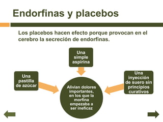 Endorfinas y placebos
 Los placebos hacen efecto porque provocan en el
 cerebro la secreción de endorfinas.

                      Una
                     simple
                    aspirina

                                            Una
   Una                                   inyección
 pastilla                               de suero sin
de azúcar         Alivian dolores        principios
                   importantes,          curativos
                   en los que la
                      morfina
                    empezaba a
                    ser ineficaz
 
