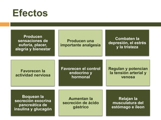 Efectos

    Producen
                                                Combaten la
 sensaciones de          Producen una        depresión, el estrés
  euforia, placer,    importante analgesia       y la tristeza
alegría y bienestar



                      Favorecen el control   Regulan y potencian
   Favorecen la           endocrino y        la tensión arterial y
actividad nerviosa         hormonal                venosa



    Boquean la
                          Aumentan la             Relajan la
 secreción exocrina
                       secreción de ácido     musculatura del
   pancreática de
                            gástrico          estómago e íleon
insulina y glucagón
 