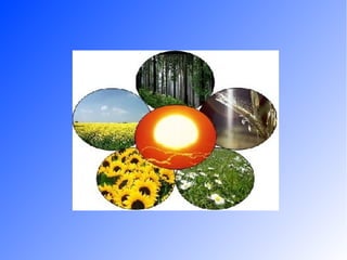 Las energías renovables