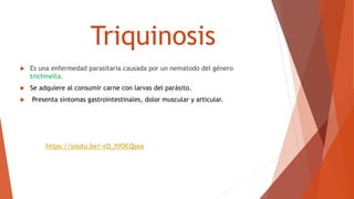 Triquinosis
 Es una enfermedad parasitaria causada por un nematodo del género
trichinella.
 Se adquiere al consumir carne con larvas del parásito.
 Presenta síntomas gastrointestinales, dolor muscular y articular.
 https://youtu.be/-cO_flfOCQsea
 