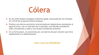 Cólera
 Es una enfermedad contagiosa intestinal aguda, provocada por los serotipos
O1 y O139 de la bacteria Vibrio Choleare.
 Produce una diarrea secretoria caracterizada por deposiciones semejantes al
agua de arroz, con un marcado olor a pescado, una elevada cantidad de
sodio, bicarbonato y sodio y una escasa cantidad de proteínas.
 En su forma grave, se caracteriza por una diarrea de gran volumen que lleva
rápidamente a la deshidratación.
https://youtu.be/VBfOa8PXLgk
 