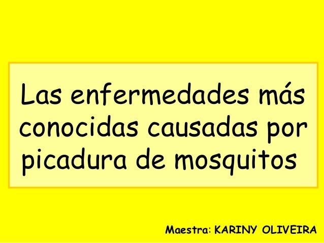 Las enfermedades causadas por picaduras de mosquitos Las enfermedades causadas por picaduras de mosquitos