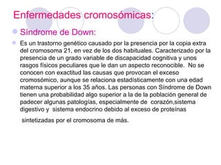 Enfermedades cromosómicas:
 Síndrome de Down:
 Es un trastorno genético causado por la presencia por la copia extra
  del cromosoma 21, en vez de los dos habituales. Caracterizado por la
  presencia de un grado variable de discapacidad cognitiva y unos
  rasgos físicos peculiares que le dan un aspecto reconocible. No se
  conocen con exactitud las causas que provocan el exceso
  cromosómico, aunque se relaciona estadísticamente con una edad
  materna superior a los 35 años. Las personas con Síndrome de Down
  tienen una probabilidad algo superior a la de la población general de
  padecer algunas patologías, especialmente de corazón,sistema
  digestivo y sistema endocrino debido al exceso de proteínas
   sintetizadas por el cromosoma de más.
 