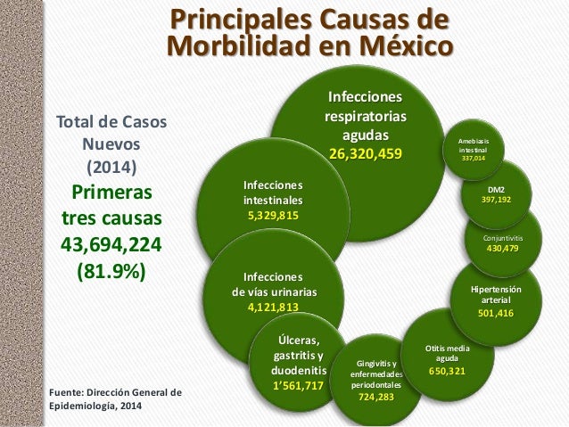 Las enfermedades un abordaje diferente
