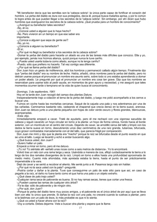 "Mi benefactor decía que las semillas son la 'cabeza sobria': la única parte capaz de fortificar el corazón del
hombre. La yerba del diablo es dura con sus protegidos, decía él, porque busca matarlos aprisa, y por lo común
lo logra antes de que puedan llegar a los secretos de la 'cabeza sobria'. Sin embargo, por ahí dicen que hubo
hombres que averiguaron los secretos de la cabeza sobria. ¡Qué prueba para un hombre de conocimiento!"
-¿Averiguó su benefactor tales secretos?
-No, él no.
-¿Conoce usted a alguien que lo haya hecho?
-No. Pero vivieron en un tiempo en que ese saber era
importante.
-¿Conoce a alguien que sepa de gente así?
-No, yo no.
-¿Conocía a alguien su benefactor?
-El sí,
-¿Por qué no llegó su benefactor a los secretos de la cabeza sobria?
-Domar la yerba del diablo para hacerla un aliado es una de las tareas más difíciles que conozco. Ella y yo,
por ejemplo, jamás nos hicimos alianza, quizá porque nunca le tuve cariño.
-¿Puede usted usarla todavía como aliado, aunque no le tenga cariño?
-Puedo, sólo que prefiero no hacerlo. Tal vez contigo sea diferente.
-¿Por qué se llama yerba del diablo?
Don Juan hizo un gesto de indiferencia, alzó los hombros y permaneció callado algún tiempo. Finalmente dijo
que "yerba del diablo" era su nombre de leche. Había, añadió, otros nombres para la yerba del diablo, pero no
debían usarse porque el pronunciar un nombre era asunto serio, sobre todo si uno estaba aprendiendo a domar
un poder aliado. Le pregunté por qué el pronunciar un nombre era cosa tan grave. Dijo que los nombres se
reservaban para usarse sólo al pedir ayuda, en momentos de gran apuro y necesidad, y me aseguró que tales
momentos ocurren tarde o temprano en la vida de quien busca el conocimiento.
Domingo, 3 de septiembre, 1961
Hoy en la tarde don Juan recogió del campo dos plantas Datura.
Inesperadamente trajo a colación el terna de la yerba del diablo, y luego me pidió acompañarlo a los cerros a
buscar una.
Fuimos en coche hasta las montañas cercanas. Saqué de la cajuela una pala y nos adentramos por una de
las cañadas. Caminamos bastante rato, vadeando el chaparral que crecía denso en la tierra suave, arenosa.
Don Juan se detuvo junto a una planta pequeña con hojas de color verde oscuro y flores grandes, blancuzcas,
acampanadas.
-Esta -dijo.
Inmediatamente empezó a cavar. Traté de ayudarlo, pero él me rechazó con una vigorosa sacudida de
cabeza y siguió cavando un hoyo circular en torno a la planta: un hoyo de forma cónica, hondo hacia el borde
exterior, con un montículo en el centro del círculo. Dejando de cavar, se arrodilló cerca del tallo y limpió con los
dedos la tierra suave en torno, descubriendo unos diez centímetros de una raíz grande, tuberosa, bifurcada,
cuyo grosor contrastaba marcadamente con el del tallo, que parecía frágil por comparación.
Don Juan me miró y dijo que la planta era "macho" porque la raíz se bifurcaba desde el punto exacto en que
se unía al tallo. Luego se levantó y echó a andar buscando algo.
-¿Qué busca usted, don Juan?
-Quiero hallar un palo.
Empecé a mirar en torno, pero él me detuvo.
-¡Tú no! Tú siéntate allí -señaló unas rocas como a seis metros de distancia-. Yo lo encontraré.
Volvió tras un rato con una rama larga y seca. Usándola a manera de coa, aflojó cuidadosamente la tierra a lo
largo de los dos ramales divergentes de la raíz. Limpió en torno a ellos hasta una profundidad aproximada de
medio metro. Cuanto más ahondaba, más apretada estaba la tierra, hasta el punto de ser prácticamente
impenetrable a la vara.
Dejó de cavar y se sentó a recobrar el aliento. Me senté junto a él. Pasamos largo rato sin hablar.
-¿Por qué no la saca usted con la pala? -pregunté.
-Podría cortar y dañar a la planta. Tuve que conseguirme un palo de este sitio para que así, en caso de
pegarle a la raíz, el daño no fuera tanto como el que haría una pala o un objeto extraño.
-¿Qué clase de palo trajo usted?
-Cualquier rama seca de paloverde es buena. Si no hay ramas secas, tienes que cortar una fresca.
-¿Pueden usarse las ramas de cualquier otro árbol?
-Ya te dije: sólo de paloverde y de ningún otro.
-¿Por qué, don Juan?
-Porque la yerba del diablo tiene muy pocos amigos, y el paloverde es el único árbol de por aquí que se lleva
bien con ella: lo único que prende. Si dañas la raíz con una pala, no crecerá cuando la vuelvas a plantar, pero
si la lastimas con un palo de ésos, lo más probable es que ni lo sienta.
-¿Qué va usted a hacer ahora con la raíz?
-Voy a cortarla. Debes dejarme. Vete a buscar otra planta y espera que te llame.
17
 