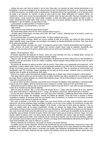-¡Estas dos son una! Una no puede ir sin la otra. Esta pipa y el secreto de esta mezcla pertenecían a mi
benefactor. A él se los entregaron en la misma forma en que mi benefactor me los dio a mi. Aunque la mezcla
es difícil de preparar, uno puede volver a abastecerse. El secreto está en los ingredientes, y en la manera como
se tratan y se mezclan. En cambio, la pipa es para toda la vida. Debe tratársela con cuidado infinito. Es
resistente y fuerte, pero nunca hay que golpearla ni hacerla rodar de aquí para allá. Hay que manejarla con las
manos secas, nunca cuando las manos están sudadas, y nada más debe usarse cuando se esté a solas. Y
nadie, absolutamente nadie debe verla nunca, a menos que uno quiera dársela a alguien. Así me enseñó mi
benefactor, y así he tratado a la pipa toda mi vida.
-¿Qué pasaría si usted perdiera o rompiera la pipa?
Meneó la cabeza, muy lentamente, y me miró.
-¡Me moriría!
-¿Son como la suya todas las pipas de los brujos?
-No todos tienen pipas como la mía. Pero conozco algunos que sí.
-¿Puede usted mismo hacer una pipa como ésta, don Juan? -insistí-. Suponga que no la tuviera: ¿cómo po-
dría darme una si quisiera?
-Si no tuviera la pipa, no podría ni querría darla. Te darla cualquier otra cosa.
Parecía algo hosco conmigo. Metió con mucho cuidado la pipa en la funda, que debía de estar forrada de
algún material suave, pues la pipa, que encajaba con justeza, se deslizó fácilmente al interior. Don Juan entró
en la casa para guardar su pipa.
-¿Está usted enojado conmigo, don Juan? -le pregunté cuando volvió. Pareció sorprenderse de mi pregunta.
-¡No! ¡Nunca me enojo con nadie! Ningún ser humano puede hacer nada lo bastante importante para
enojarme. Uno se enoja con la gente cuando siente que sus actos son importantes. Yo ya no siento eso.
Martes, 26 de diciembre, 1961
El tiempo específico de replantar el "brote", como don Juan llamaba a la raíz, no estaba fijado, aunque se
suponía que era el siguiente paso para domar el poder vegetal.
Llegué a casa de don Juan el sábado 23 de diciembre, temprano por la tarde. Estuvimos un rato sentados en
silencio, como de costumbre. El día era cálido y nublado. Habían pasado meses desde que don Juan me diera
la primera parte.
-Es tiempo de devolver la yerba a la tierra -dijo de pronto-. Pero antes voy a prepararte una protección. Tú la
guardarás, y sólo tú debes verla. Como yo voy a prepararla, también yo la veré. Eso no es bueno porque, como
te dije, no le tengo buena voluntad a la yerba del diablo. No somos uno. Pero mi recuerdo no vivirá mucho; soy
demasiado viejo. Sin embargo, debes guardarla de los ojos de otros porque, mientras dura su recuerdo de
haberla visto, el poder de la protección sufre daño.
Entró en su cuarto y sacó tres bultos-de arpillera debajo de un petate viejo. Volvió al zaguán y tomó asiento.
Tras largo silencio abrió uno de los bultos. Era la datura hembra que había recogido en mi compañía; todas
las hojas, flores y vainas apiladas con anterioridad estaban secas. Tomó el trozo largo de raíz en forma de Y, y
luego ató nuevamente el bulto.
La raíz se había secado y enjutado y las barras de la horqueta se hallaban más separadas y contorsionadas.
Puso la raíz en su regazo, abrió el morral de cuero y extrajo su cuchillo. Sostuvo la raíz seca frente a mí.
-Esta parte es para la cabeza -dijo, e hizo la primera incisión en la cola de la Y, que vista al revés semejaba la
forma de un hombre con las piernas abiertas.
-Ésta es para el corazón -dijo, y cortó cerca del ángulo de la Y. Luego cortó las puntas de la raíz, dejando
unos siete centímetros en cada barra de la Y. Luego, con lentitud y paciencia, talló la forma de un hombre.
La raíz era seca y fibrosa. Para tallarla, don Juan hacía dos incisiones y pelaba las fibras entre ambas hasta
la hondura de los cortes. Sin embargo, cuando se trataba de detalles, como dar forma a brazos y manos,
cincelaba la madera. El producto final fue una figurilla como de alambre: un hombre con los brazos cruzados
sobre el pecho y las manos en posición de aferrar.
Don Juan se levantó y fue hasta una agave azul que crecía frente a la casa, junto al porche. Asió la dura
espina de una de las pulposas hojas centrales, la dobló y le dio dos o tres vueltas. El movimiento circular casi
separó la espina de la hoja, dejándola colgada. El la mordió, o más bien la tomó entre los dientes, y dio un
tirón. La espina salió de la pulpa, arrastrando consigo un manojo de largas fibras: hebras de sesenta
centímetros de largo unidas a la parte leñosa como una cola blanca. Aún sosteniendo la espina con los dientes,
don Juan trenzó las fibras entre las palmas de sus manos e hizo un cordel que ató alrededor de las piernas de
la figurilla, para juntarlas. Envolvió la parte inferior del cuerpo hasta que el cordel se terminó; luego, con gran
pericia, utilizó la espina como una lezna dentro de la parte delantera del cuerpo, bajo los brazos cruzados,
hasta que la aguda punta salió, como brotando de las manos de la figurilla. Usó de nuevo los dientes y, jalando
con suavidad, sacó la espina casi por entero. Parecía una larga lanza sobresaliendo del pecho de la figura. Sin
mirar ya la estatuilla, don Juan la metió en su morral.
Parecía exhausto por el esfuerzo. Se acostó en el piso y se quedó dormido.
Ya estaba oscuro cuando despertó. Comimos las provisiones que yo le había llevado y estuvimos un rato más
sentados en el zaguán. Luego don Juan caminó hacia la parte trasera de la casa, llevando los tres bultos de
arpillera- Cortó varias ramas secas y encendió una fogata. Nos sentamos cómodamente frente a ella y don
Juan abrió los tres bultos. Además del que contenía los pedazos secos de la planta hembra, había otro con
23
 