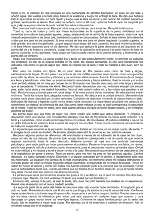frente a mí. El extracto de raíz consistía en una cucharadita de almidón blancuzco. Lo puso en una taza y
añadió agua. Dio vueltas a la taza para disolver la sustancia y luego me entregó la taza. Me dijo que bebiera
todo lo que había en la taza. Lo bebí rápido y luego puse la taza en el piso y me recliné. Mi corazón empezó a
golpear; sentí perder el aliento. Don Juan me ordenó, como si tal cosa, quitarme toda la ropa. Le pregunté por
qué, y dijo que para untarme la pasta. Vacilé. No sabia si desvestirme.
Don Juan me instó a apurarme. Dijo que había muy poco tiempo para tonterías. Me quité toda la ropa.
Tomó su barra de hueso y cortó dos líneas horizontales en la superficie de la pasta, dividiendo así el
contenido de la olla en tres partes iguales. Luego, empezando en el centro de la línea superior, trazó una raya
vertical perpendicular a las otras dos, dividiendo la pasta en cinco partes. Señaló el área inferior de la derecha
y dijo que era para mi pie izquierdo. El área encina de ésa era para mi pierna izquierda. La parte superior, la
más grande, era para mis genitales. La que seguía hacia abajo, del lado izquierdo, era para mi pierna derecha,
y el área inferior izquierda para mi pie derecho. Me dijo que aplicara la parte destinada al pie izquierdo en la
planta del pie y la frotara a conciencia. Luego me guió en la aplicación de la pasta a la parte interior de toda mi
pierna izquierda, a mis genitales, hacia abajo por toda la parte interior de la pierna derecha, y finalmente a la
planta del pie derecho.
Seguí sus instrucciones. La pasta estaba fría y tenía un olor particularmente fuerte. Al terminar de aplicarla
me enderecé. El olor de la mezcla entraba en mi nariz. Me estaba sofocando. El olor acre literalmente me
asfixiaba. Era como un gas de algún tipo. Traté de respirar por la boca y traté de hablarle a don Juan, pero no
pude.
Don Juan me miraba con fijeza. Di un paso hacia él. Mis piernas eran como de hule y largas,
extremadamente largas. Di otro paso. Las junturas de mis rodillas parecían tener resorte, como una garrocha
para salto de altura; se sacudían y vibraban y se contraían elásticamente. Avancé. El movimiento de mi cuerpo
era lento y tembloroso: más bien un estremecimiento ascendente y hacia adelante. Bajé la mirada y vi a don
Juan sentado debajo de mí: muy por debajo de mí. El impulso me hizo dar otro paso, aun más largo y elástico
que el precedente. Y entonces me elevé. Recuerdo haber descendido una vez; entonces empujé con ambos
pies, salté hacia atrás y me deslicé bocarriba. Veía el cielo oscuro sobre mí, y las nubes que pasaban a mi
lado. Moví el cuerpo a tirones para ver hacia abajo. Vi la masa oscura de las montañas. Mi velocidad era extra-
ordinaria. Tenía los brazos fijos, plegados contra los flancos. Mi cabeza era la unidad directriz. Manteniéndola
echada hacia atrás, describía yo círculos verticales. Cambiaba de dirección moviendo la cabeza hacia un lado.
Disfrutaba de libertad y ligereza como nunca antes había conocido. La maravillosa oscuridad me producía un
sentimiento de tristeza, de añoranza tal vez. Era como haber hallado un sitio al cual correspondía: la oscuridad
de la noche. Traté de mirar en torno, pero todo cuanto percibía era que la noche estaba serena, y sin embargo
pletórica de poder.
De pronto supe que era hora de bajar; fue como recibir una orden que debía obedecer. Y empecé a
descender como una pluma, con movimientos laterales. Ese tipo de trayectoria me hacía sentir enfermo. Era
lento y a sacudidas, como si estuvieran bajándome con poleas. Me dio náusea. Mi cabeza estallaba a causa de
un dolor torturante en extremo. Una especie de negrura me envolvía. Tenía mucha conciencia del sentimiento
de hallarme suspendido en ella.
Lo siguiente que recuerdo es la sensación de despertar. Estaba en mi cama, en mi propio cuarto. Me senté. Y
la imagen de mi cuarto se disolvió. Me levanté, ¡Estaba desnudo! Al ponerme en pie, volvió la náusea.
Reconocí algunos puntos de referencia. Me encontraba a menos de un kilómetro de la casa de don Juan,
cerca del sitio de sus daturas. De pronto todo encajó donde le correspondía y me di cuenta de que debería
regresar caminando hasta la casa, desnudo. Hallarme privado de ropa era una profunda desventaja
psicológica, pero nada podía yo hacer para resolver el problema. Pensé en improvisarme una falda con ramas,
pero la idea parecía ridícula y además pronto amanecería, pues el crepúsculo matutino ya estaba claro. Olvidé
mi incomodidad y mi náusea y eché a andar rumbo a la casa. Me obsesionaba el temor de ser descubierto. Iba
a la expectativa de gente o perros. Traté de correr, pero me herí los pies en las piedritas agudas. Caminé
despacio. Ya había clareado mucho. Entonces vi a alguien acercarse por el camino, y rápidamente salté tras
los matorrales. La situación me parecía de lo más incongruente. Un momento antes me hallaba disfrutando el
increíble placer de volar; al minuto siguiente estaba escondido, avergonzado de mi propia desnudez. Pensé en
saltar de nuevo al camino y correr con todas mis fuerzas pasando junto a la persona que se acercaba. Pensé
que se sobresaltaría tanto que, cuando advirtiera que se trataba de un hombre desnudo, yo ya la habría dejado
muy atrás. Pensé todo eso, pero no me atrevía moverme.
La persona que venía por el camino estaba casi junto a mí y se detuvo. La oí decir mi nombre. Era don Juan,
y traía mi ropa. Riendo, me miró vestirme; rió tanto que acabé por reír también yo.
El mismo día, viernes 5 de julio, al caer la tarde, don Juan me pidió narrarle los detalles de mi experiencia.
Relaté todo el episodio con el mayor cuidado posible.
-La segunda parte de la yerba del diablo se usa para volar -dijo cuando hube terminado-. El ungüento por sí
solo no basta. Mi benefactor decía que la raíz es la que dirige y da sabiduría, y es la causa del volar. Conforme
vayas aprendiendo, y la tomes seguido para volar, empezarás a ver todo con gran claridad. Puedes remontarte
por los aires cientos de kilómetros para saber qué está pasando en cualquier lugar que quieras, o para
descargar un golpe mortal sobre tus enemigos lejanos. Conforme te vayas familiarizando con la yerba del
diablo, ella te enseñará a hacer esas cosas. Por ejemplo, ya te ha enseñado a cambiar de dirección. Así, te
enseñará cosas que ni te imaginas.
42
 