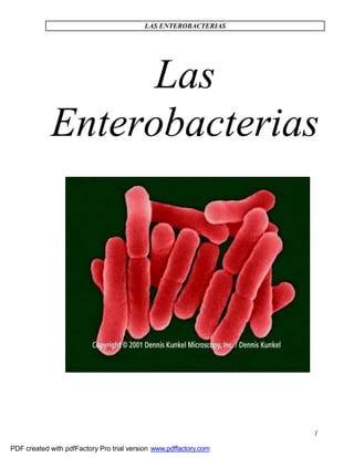LAS ENTEROBACTERIAS
Las
Enterobacterias
1
PDF created with pdfFactory Pro trial version www.pdffactory.com
 