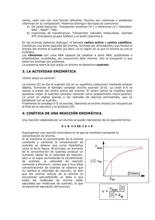 varios, cada uno con una función diferente. Muchos son vitaminas o presentan
vitaminas en su composición. Podemos distinguir dos tipos de coenzimas:
a) De oxido-reducción. Transportan protones (H+) y electrones (e-). Ejemplos:
NAD+, NADP+; FAD.
b) Coenzimas de transferencia. Transportan radicales moleculares. Ejemplo
ATP (transporta grupos fosfato) y el acetil coenzima A.
En las enzimas podemos distinguir el llamado centro activo o centro catalítico.
Constituye una parte pequeña del enzima, formada por aminoácidos, que facilita el
anclaje del enzima al sustrato (es decir, es la región en la que el enzima se une al
sustrato).
Los ribozimas son unos ARN capaces de catalizar a otros ARN, quitándoles o
añadiéndoles nucleótidos, sin consumirse ellos mismos. Son la excepción a que
todos los enzimas son proteínas.
La sustancia sobre la que actúa un enzima se denomina sustrato.

3. LA ACTIVIDAD ENZIMÁTICA
¿Cómo actúa un enzima?
La enzima (E) se fija al sustrato (S) en su superficie (adsorción) mediante enlaces
débiles, formando el llamado complejo enzima sustrato (E-S). La unión E-S se
realiza a través del centro activo del enzima. El centro activo se modifica para
ajustarse mejor al sustrato (proceso conocido como acoplamiento mano-guante).
La unión se realiza gracias a los radicales de algunos aminoácidos, que se
establecen con el sustrato.
Finalmente el complejo E-S se escinde, liberando el enzima intacto (se recupera así
al final de la reacción) y el producto (P).

4. CINÉTICA DE UNA REACCIÓN ENZIMÁTICA
Una reacción catalizada por un enzima se puede representar de la siguiente forma:
E + S  ES  E + P
Supongamos una reacción enzimática en la que se mantiene constante la
concentración de enzima.
Si se mantiene la concentración de la enzima
constante y variamos la concentración de
sustrato se obtiene una curva hiperbólica
como la de la figura. Al principio un aumento
de la concentración de sustrato produce un
aumento rápido de la velocidad de reacción,
pero si se sigue aumentando la concentración
de sustrato, la velocidad de reacción
comienza a disminuir; vemos que a muy altas
concentraciones de sustrato se observa que
no cambia la velocidad de reacción, se dice
que los centros activos de la enzima se
encuentran saturados(ello se debe a que
todas las moléculas de enzima están
saturadas por moléculas de sustrato, lo que
se denomina saturación del enzima).

 