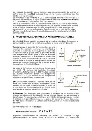 La velocidad de reacción que se obtiene a esa alta concentración de sustrato se
define como la velocidad máxima (vmax) de la reacción enzimática bajo las
condiciones especificadas.
La concentración de substrato [S], a la semivelocidad máxima de reacción (½ v )
se puede determinar de la figura y representa la constante de Michaelis-Menten
o km, la cual es una característica para cada enzima.
La Km se pude definir como: la concentración de sustrato a la cual la velocidad de
la reacción es la mitad de la velocidad máxima. Km depende de la afinidad que hay
entre la enzima y sus sustrato. Un valor pequeño de Km indica una unión muy
estrecha entre la enzima y el sustrato. Cuando menor sea el valor de Km mayor
afinidad tendrá el enzima por el sustrato (es decir, antes se alcanza la velocidad
semimáxima).

5. FACTORES QUE AFECTAN A LA ACTIVIDAD ENZIMÁTICA
La velocidad de una reacción conseguida por un enzima además de depender de la
concentración de substrato como hemos visto en el punto anterior, depende:
Temperatura. Al aumentar la Temperatura en una
reacción, las moléculas aumentan su movilidad y
aumenta el número de choques, por lo que aumenta
la velocidad con la que se forma el producto. Existe
una temperatura óptima para la cual la actividad
enzimática es máxima. Si la temperatura aumenta se
dificulta la unión enzima-sustrato y a partir de cierta
temperatura la enzima se desnaturaliza (pierde su
estructura terciaria, cuaternaria (si la tiene), y, por
tanto, pierde su función biológica.
La mayoría de enzimas se inactivan a temperatura
de 50-60 ºC, excepto las bacterias termófilas
(resisten hasta temperatura de 100 ºC). Las enzimas
de muchos mamíferos tienen una temperatura
óptima de 370 C, por encima de esa temperatura
comienzan a inactivarse y se destruyen
pH. Los enzimas presentan 2 valores límite de pH
entre los cuales son eficaces; traspasados estos
valores, los enzimas se desnaturalizan y dejan de
actuar. Entre los 2 límites existe un pH óptimo en el
que la enzima presenta su máxima eficacia.
Inhibidores Son sustancias que disminuyen la actividad de un enzima o bien
impiden completamente la actuación de las mismas. Pueden ser perjudiciales o
beneficiosos. Por ejemplo, la penicilina es un inhibidor de las enzimas que regulan
la síntesis de la pared bacteriana, por lo que es útil contra la infección bacteriana.
El AZT, es un inhibidor de la transcriptasa inversa, por lo que retrasa el desarrollo
del SIDA.
La inhibición puede ser de dos tipos:
a) Irreversible “Venenos”

E + I  EI

Suprimen completamente la actividad del enzima. El inhibidor se fija
permanentemente al centro activo e inutiliza al enzima. Ej: Insecticidas

 