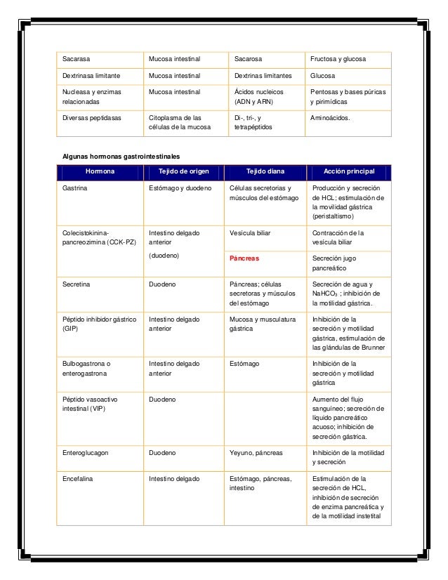 Ideas para ayudarle con esquema del metabolismo