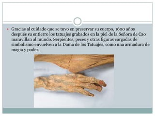  Gracias al cuidado que se tuvo en preservar su cuerpo, 1600 años

después su entierro los tatuajes grabados en la piel de la Señora de Cao
maravillan al mundo. Serpientes, peces y otras figuras cargadas de
simbolismo envuelven a la Dama de los Tatuajes, como una armadura de
magia y poder.

 