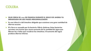 COLERA
 DEJO CERCA DE 20000 EN FRANCIA DURANTE EL SIGLO XIX AHORA YA
ERRADICADA EN LOS PAISES INDUStRIALIZADOS
 Es una infección del intestino delgado que ocasiona una gran cantidad de
diarrea acuosa.
 El cólera es causado por la bacteria Vibrio cholerae. Estas bacterias
secretan una toxina que causa aumento de la cantidad de agua que
liberan las células que recubren los intestinos. El aumento del agua
produce diarrea intensa.
 