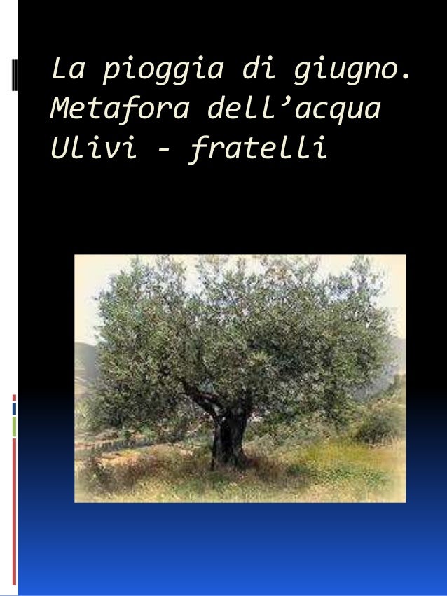 La sera fiesolana