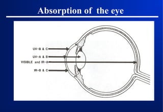 Absorption of the eye

 